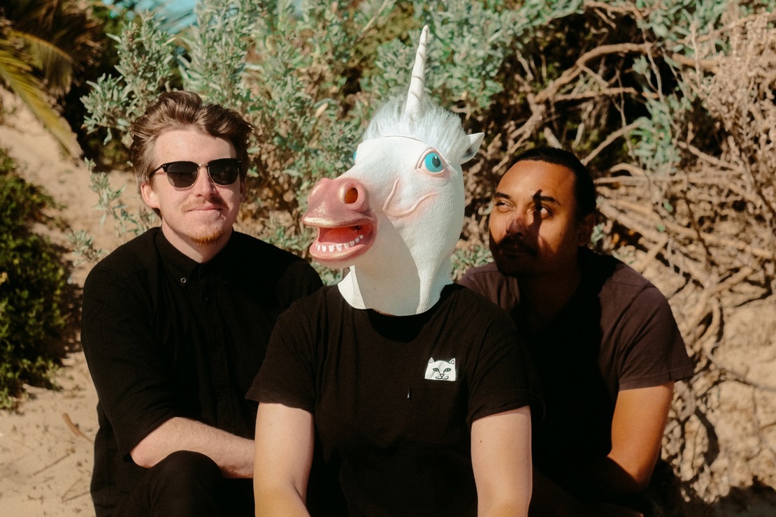 The Great Emu War Casualties